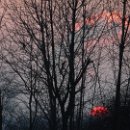 FVCW (37)-Weicht-Sabine